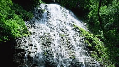 电子精密